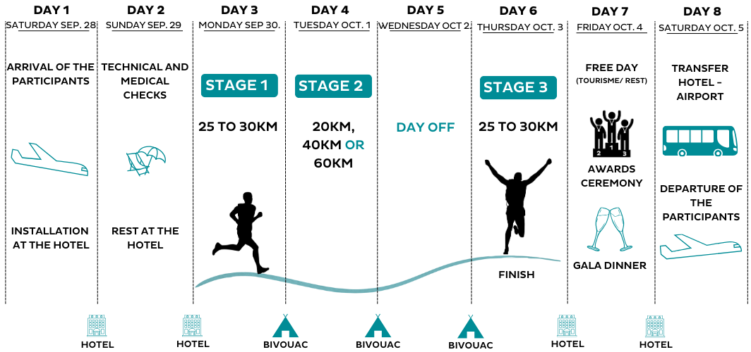 Fuerteventura__2024_arrivals_en