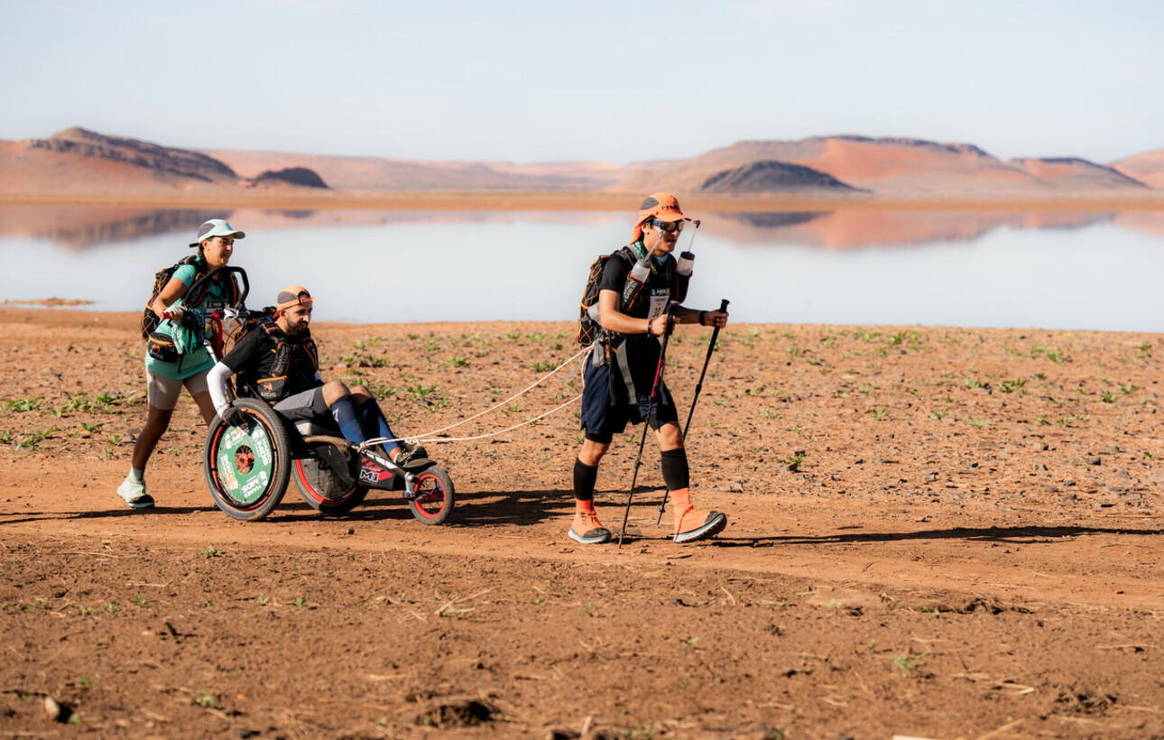 result_Handi MDS Landscapes