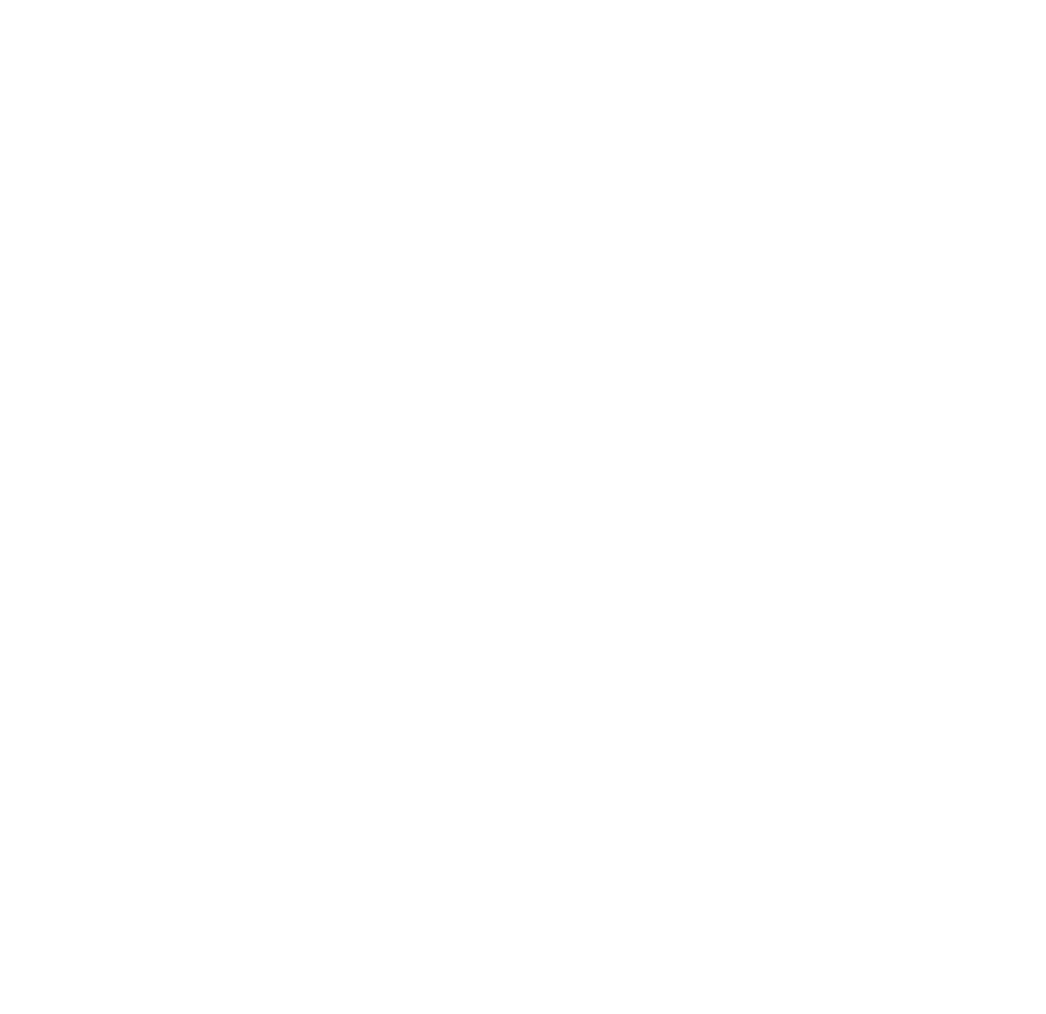 Logo MDS Fuertventura