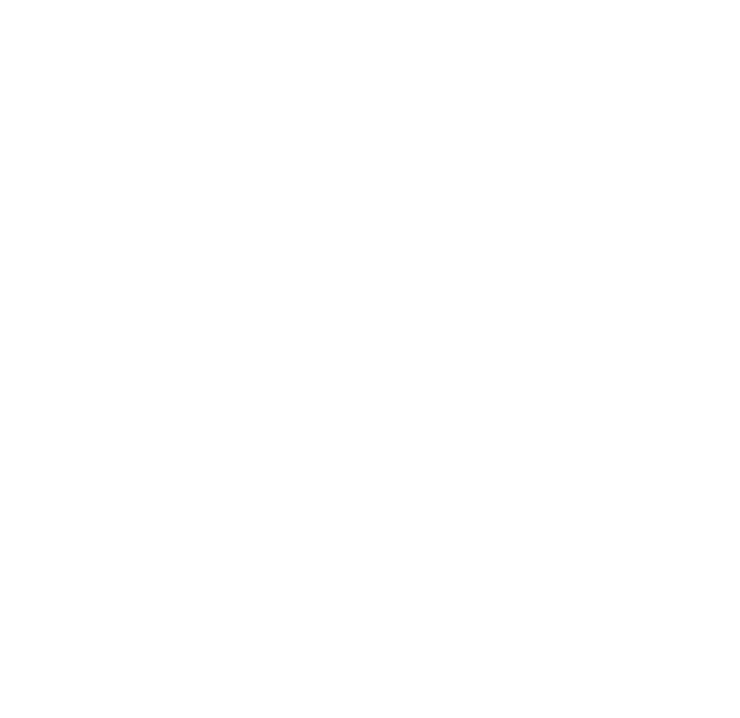 Logo MDS Jordan