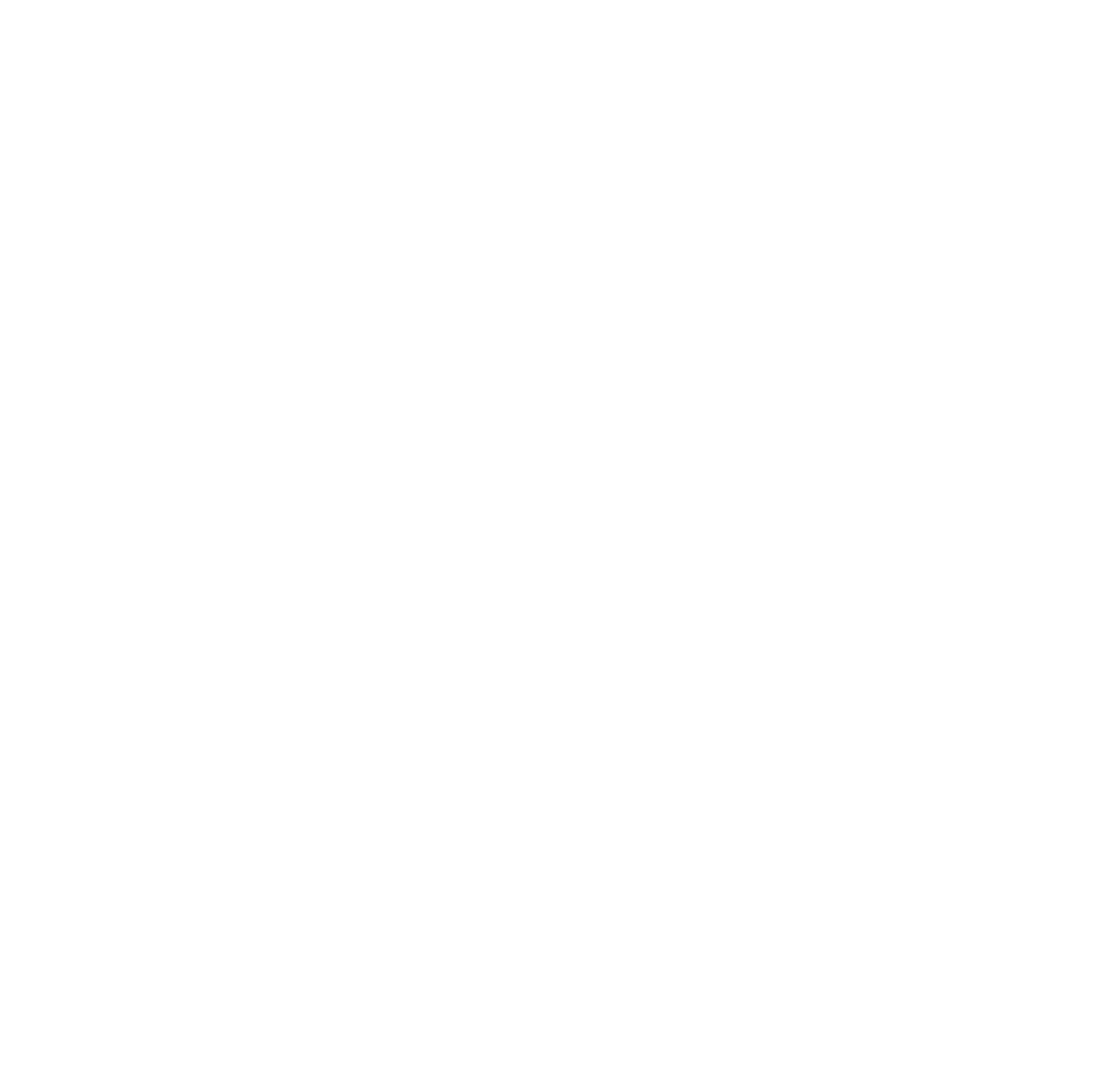 Logo MDS Morocco
