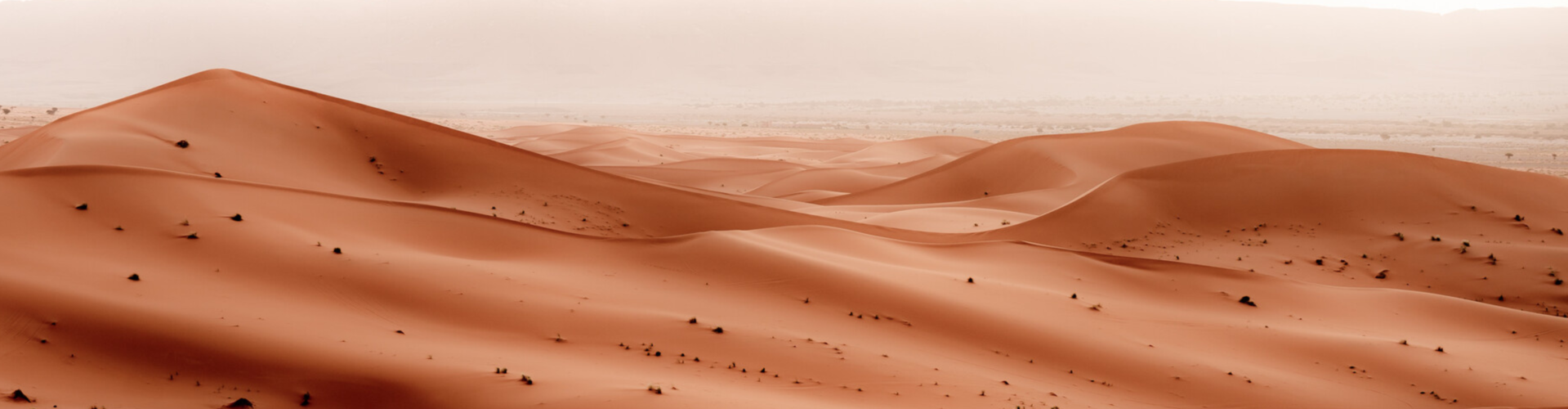 https://www.marathondessables.com/sites/default/files/2025-05/MDS_LEGENDARY_2026_BANNER.png