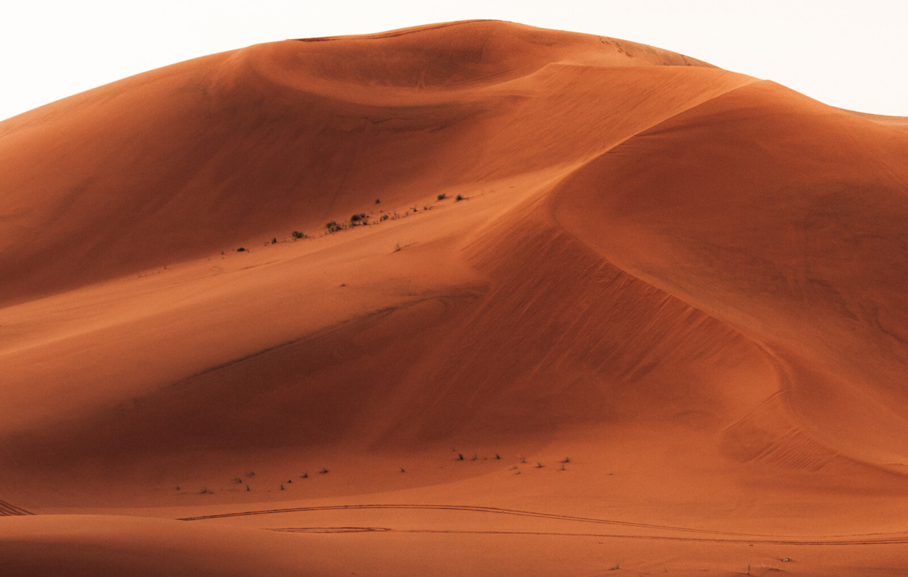 MDS_SAHARA