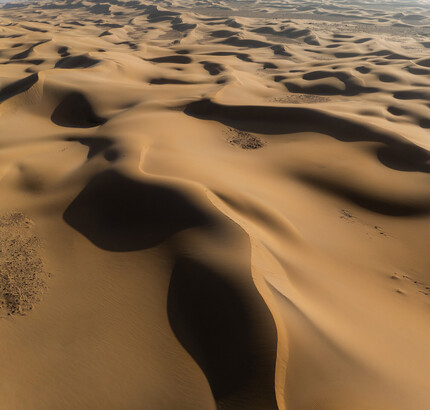 MDS_ATLANTIC_COAST_PHOTO_GALLERY_1