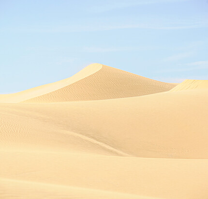 MDS_ATLANTIC_COAST_PHOTO_GALLERY_3