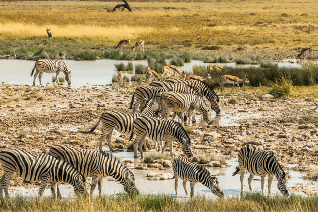 MDS_NAMIBIA_TRAVELL_2