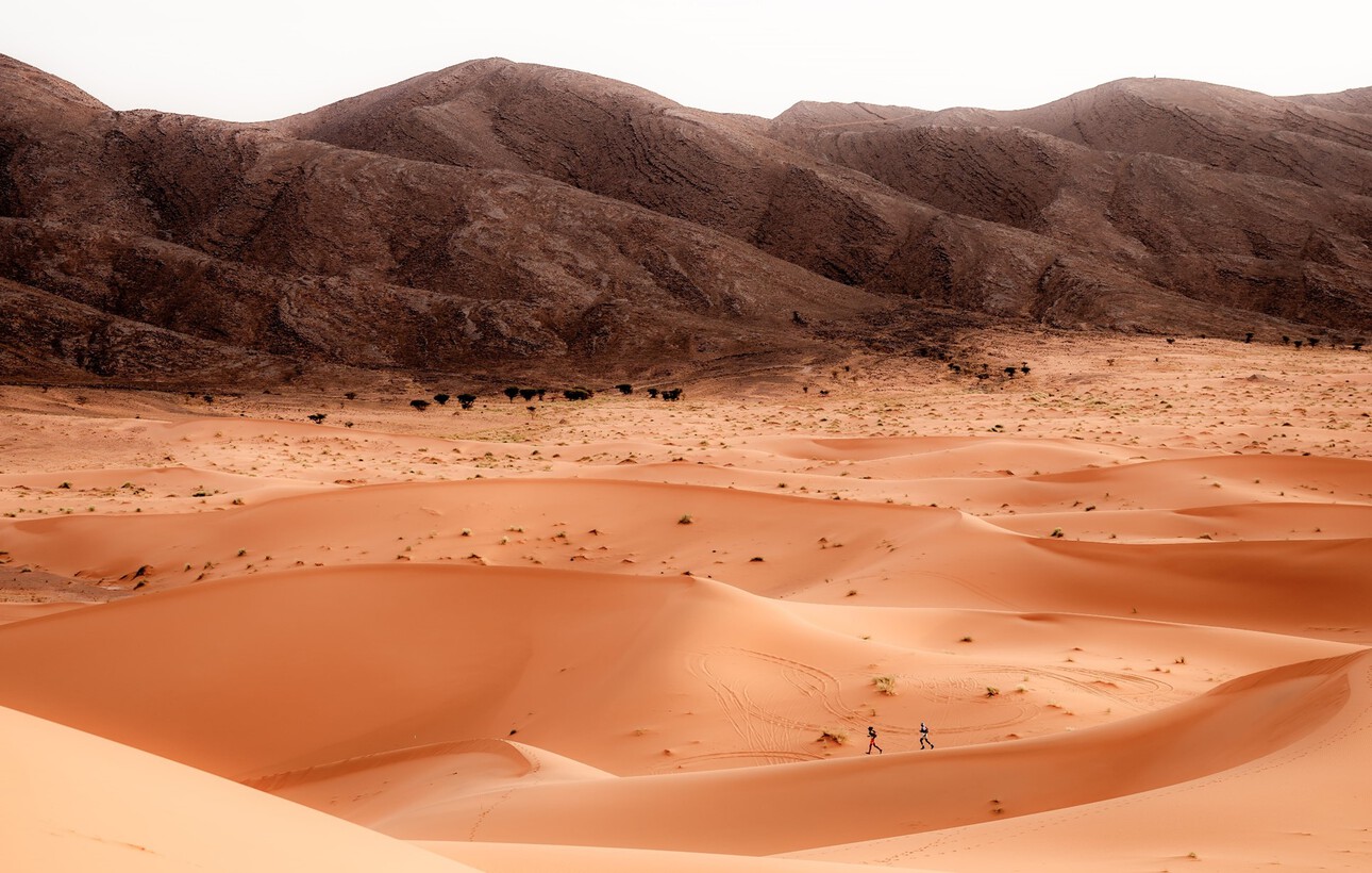 MDS_ULTRA_INST_SAHARA_MAIN_GALLERY